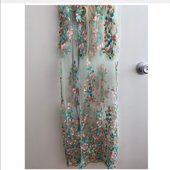 Nude Embroidered Floral Sheer Mesh Maxi Dress - Picture 4 of 4